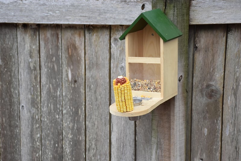 Kids making an upcycled bird feeder
